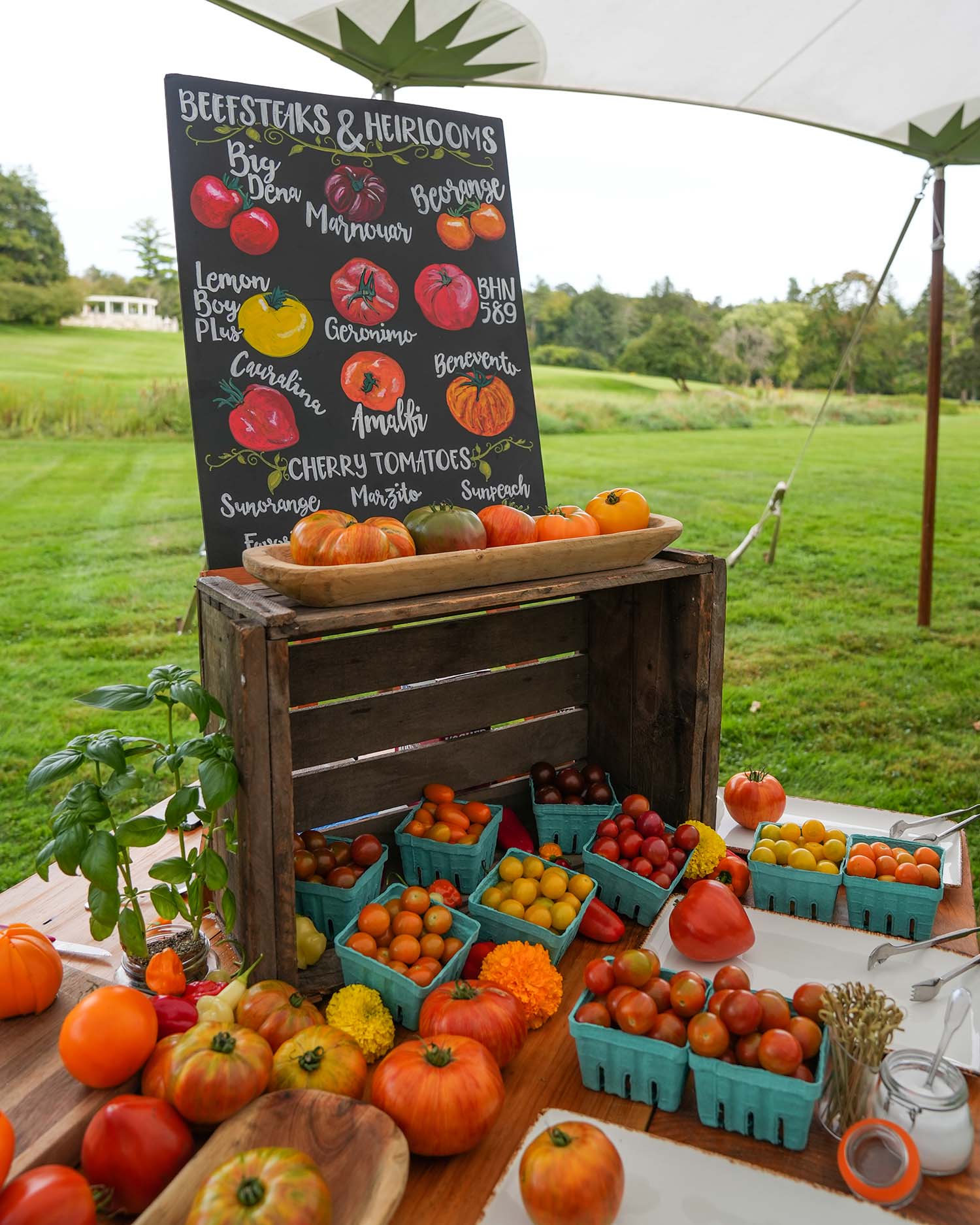 View on Fresh Product at the Berkshires
