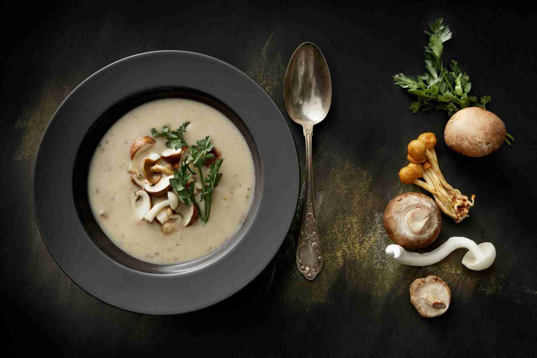 Overhead view of a bowl of sherried mushroom soup.