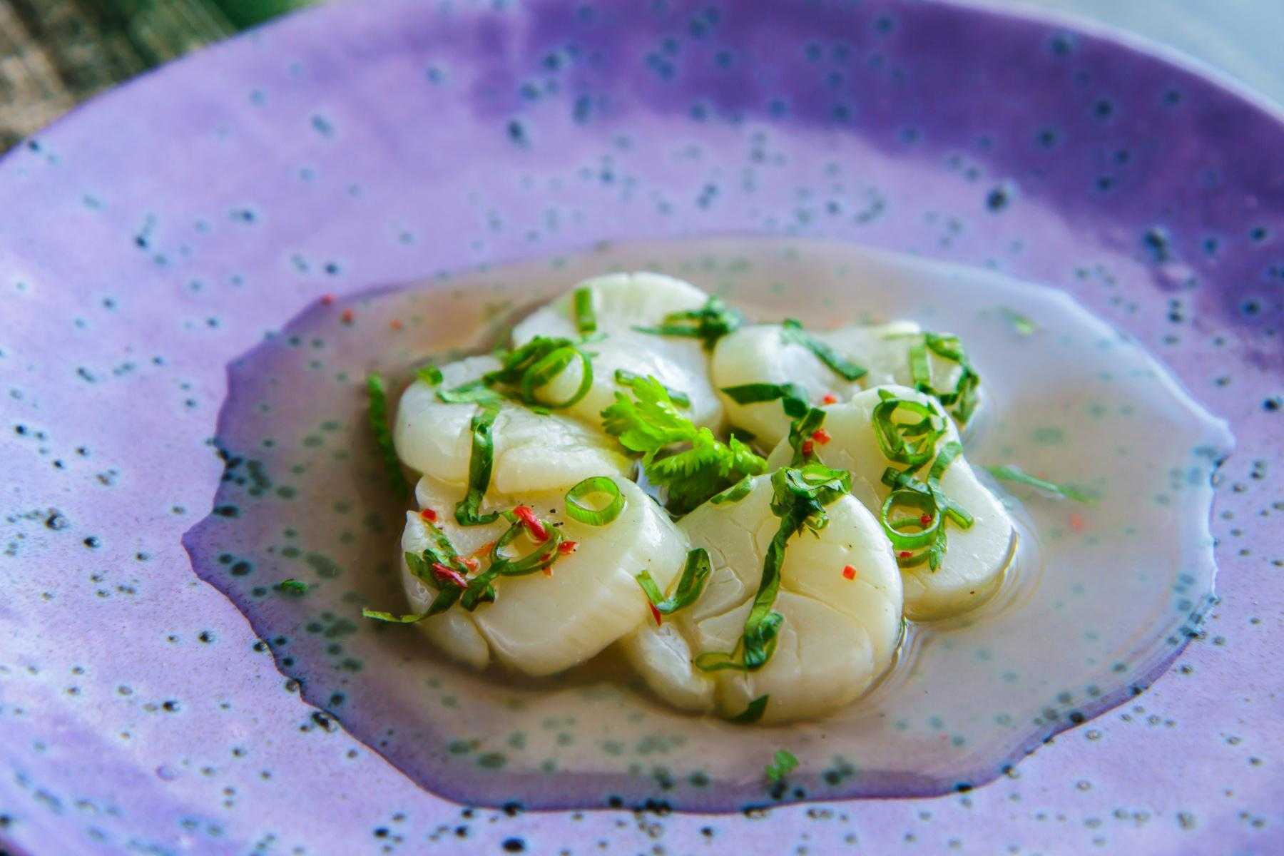 Close-up of plate of scallop ceviche.
