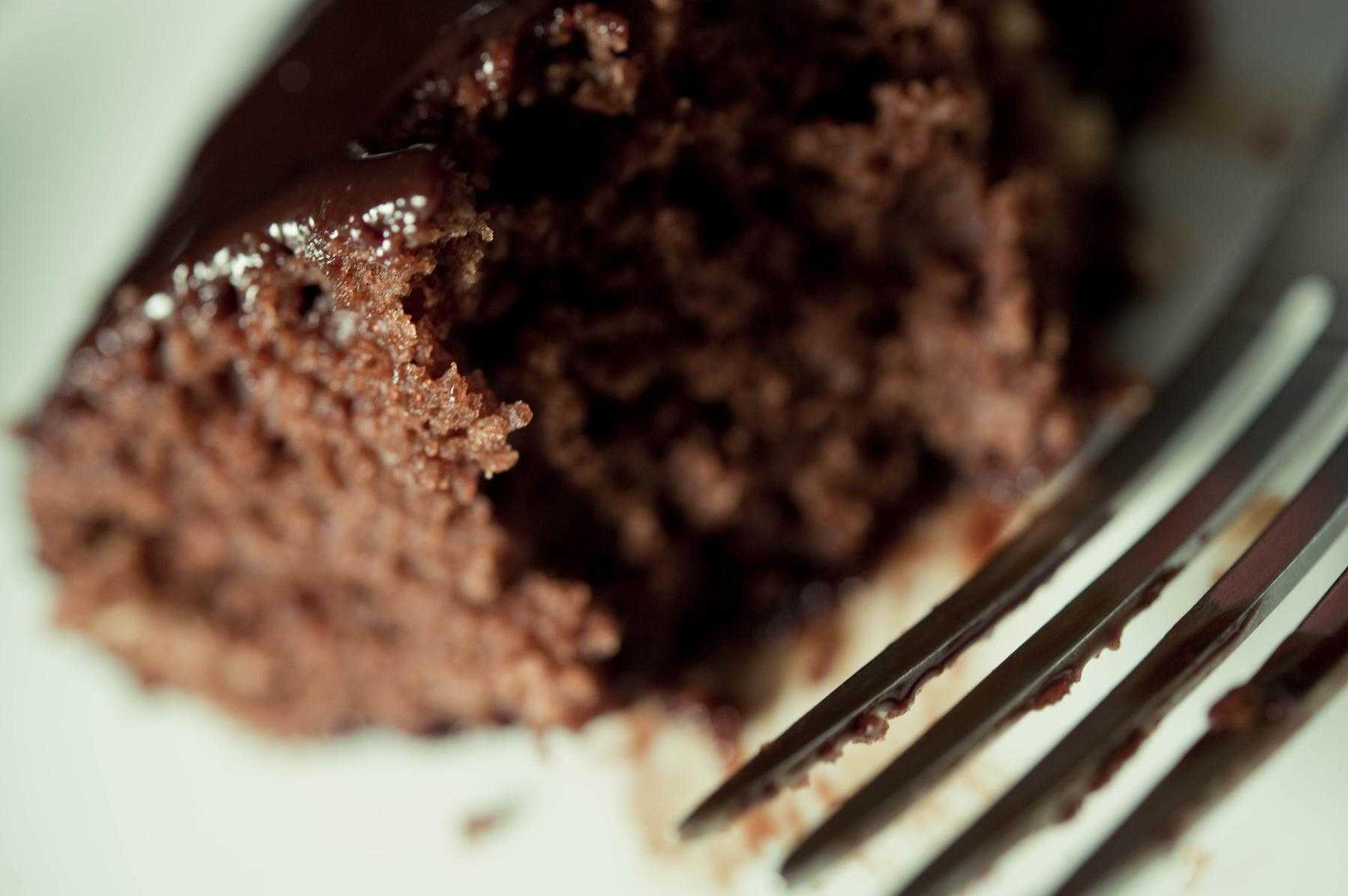 Close-up of piece of chocolate cake.
