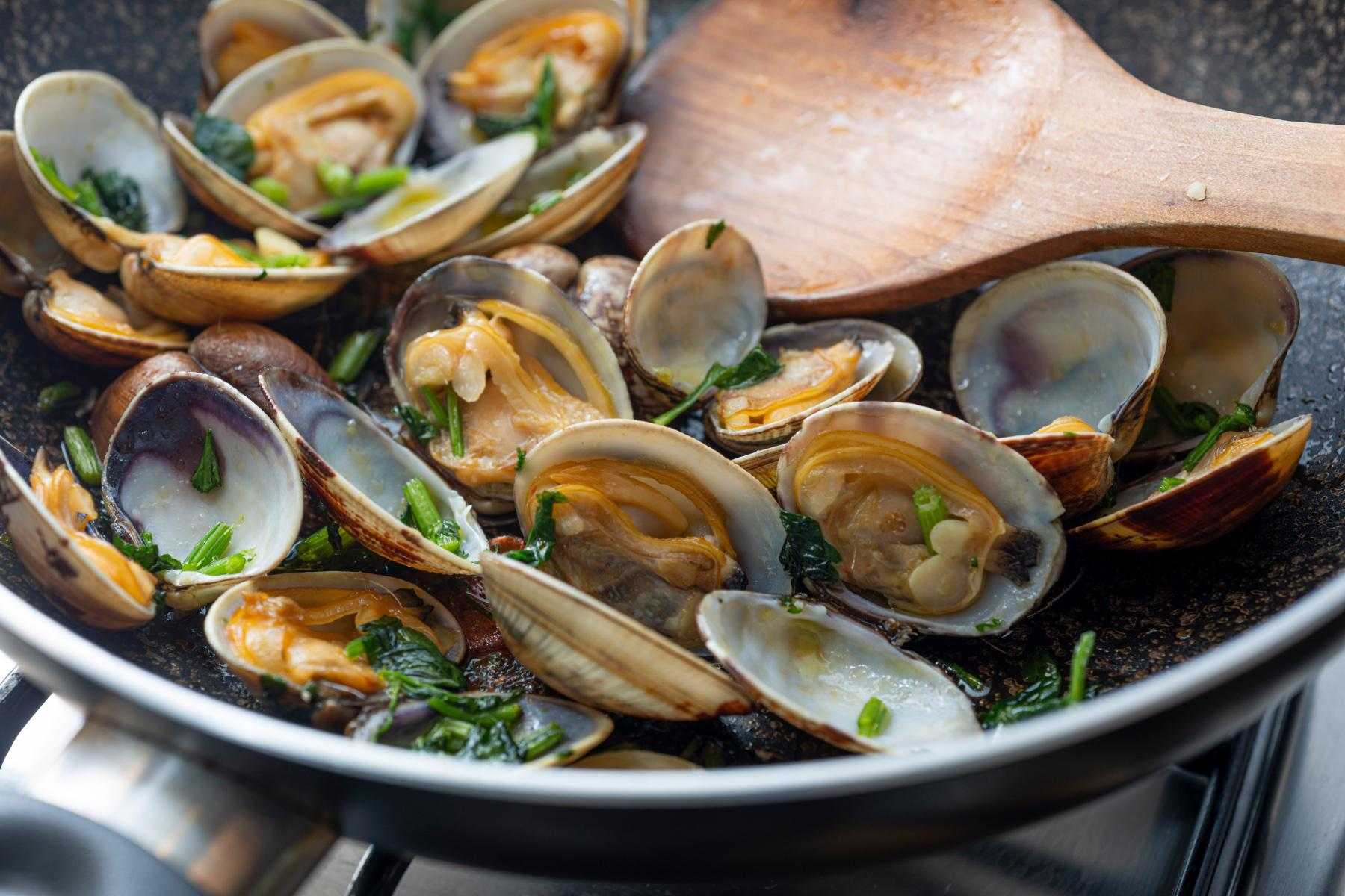 Close-up of clams in pot.
