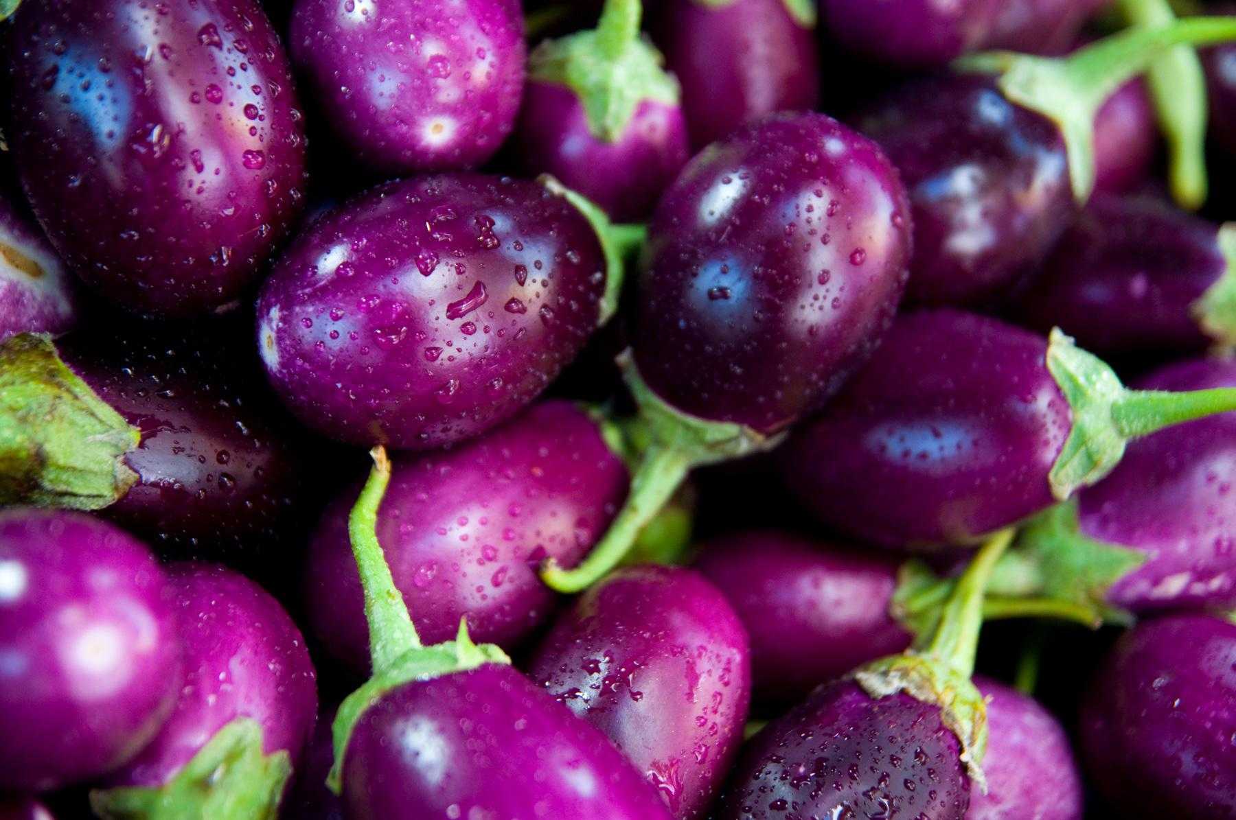 Close-up of purple eggplants.
