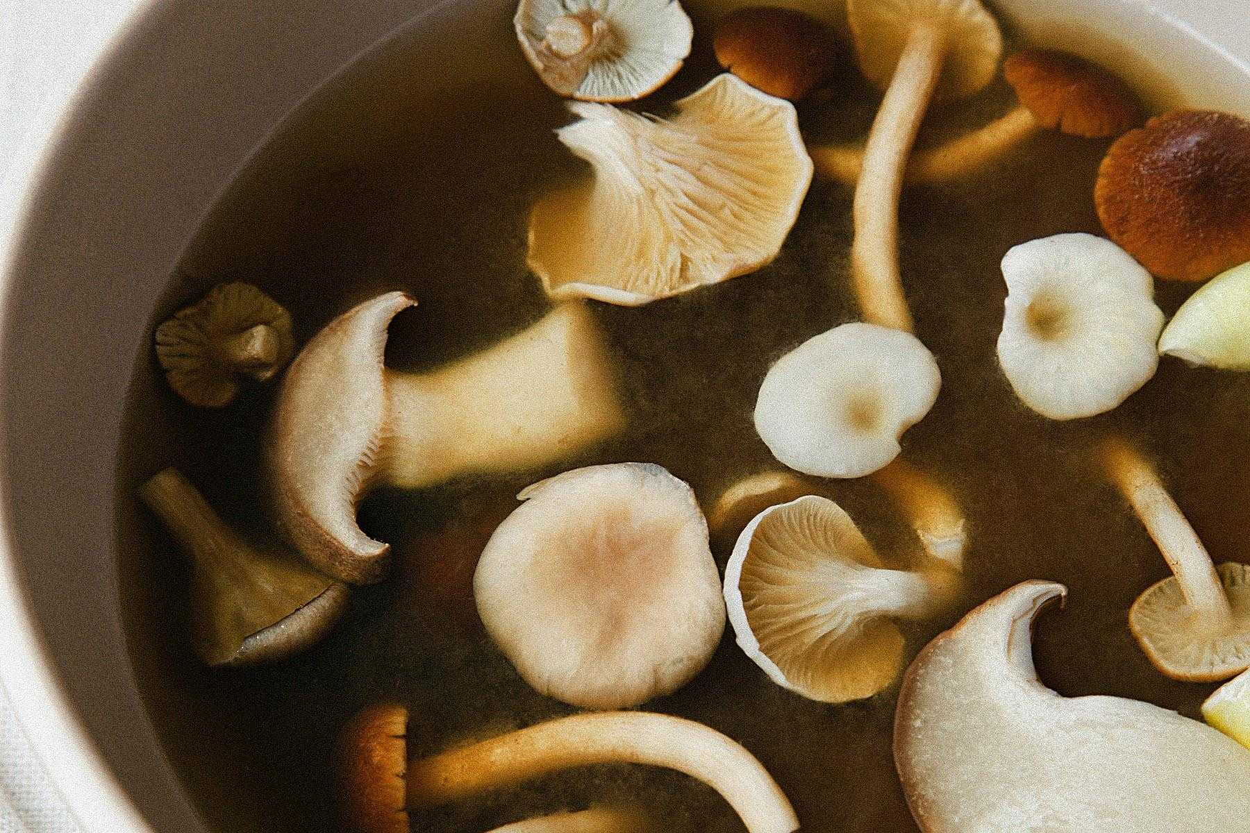 Close-up overhead view of bowl filled with mushroom broth.