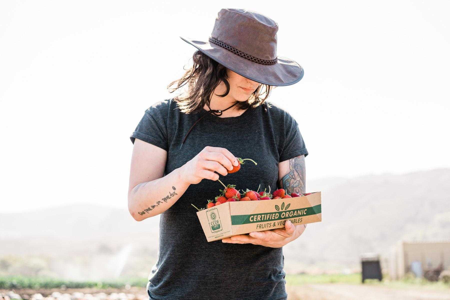 Woman outside with hat on and head down picking through a flat of freshly picked strawberries that she is holding.