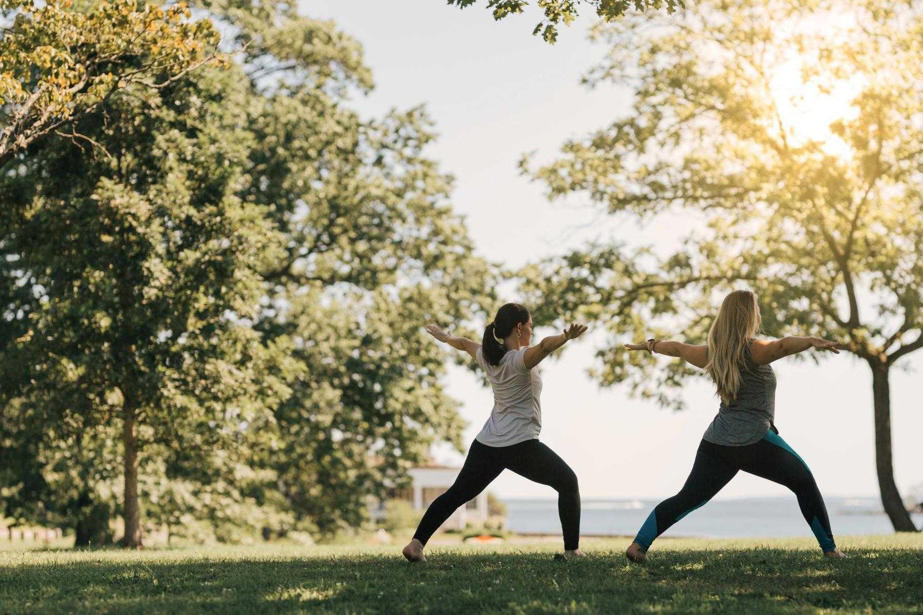 Two women doing yoga outside in the grass under a tree.