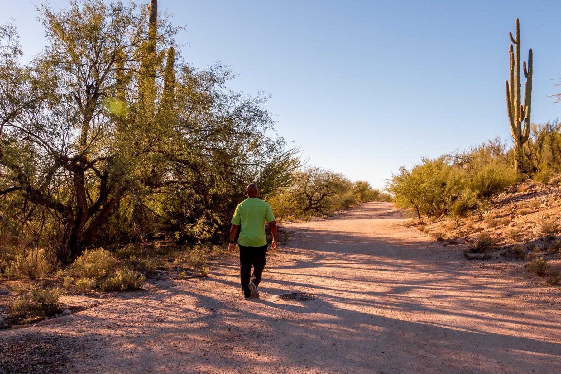 Man walking through path in the Sonoran Desert.