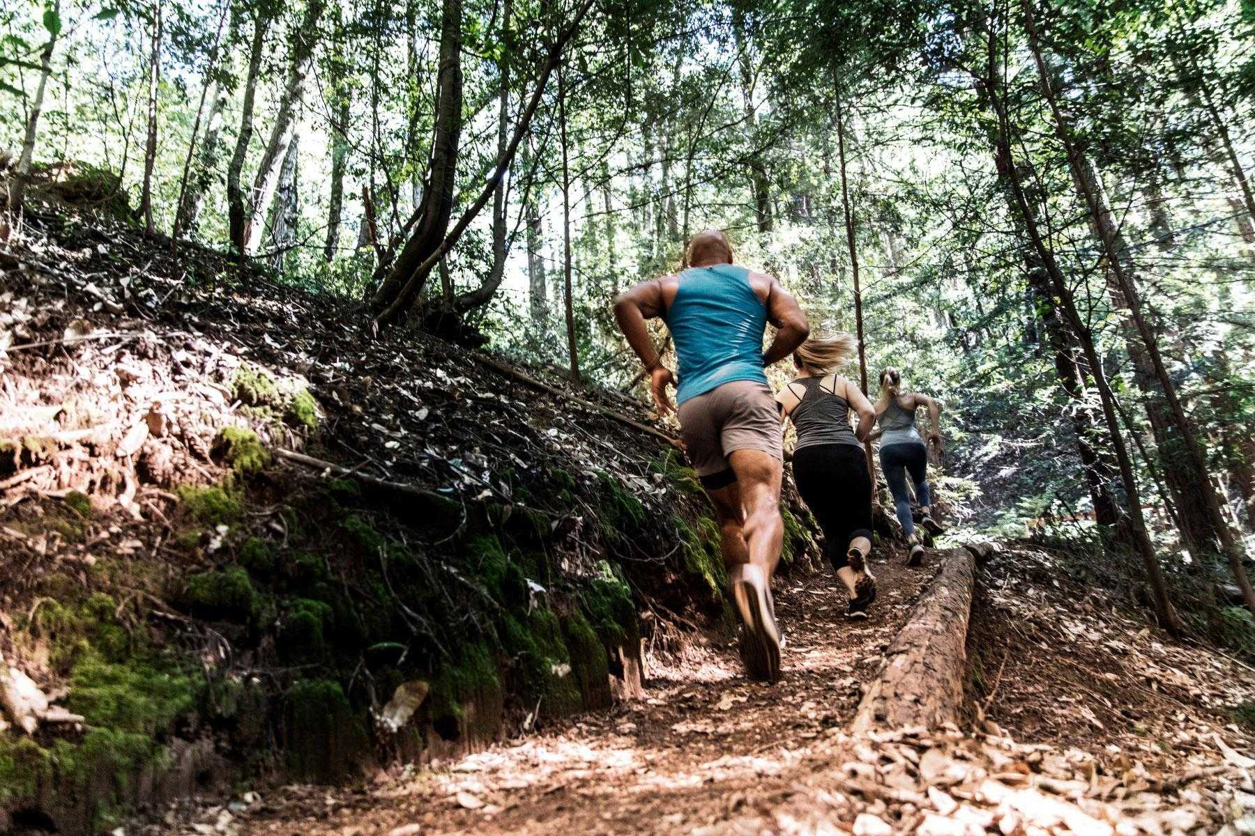 group of three people running on a trail in the woods