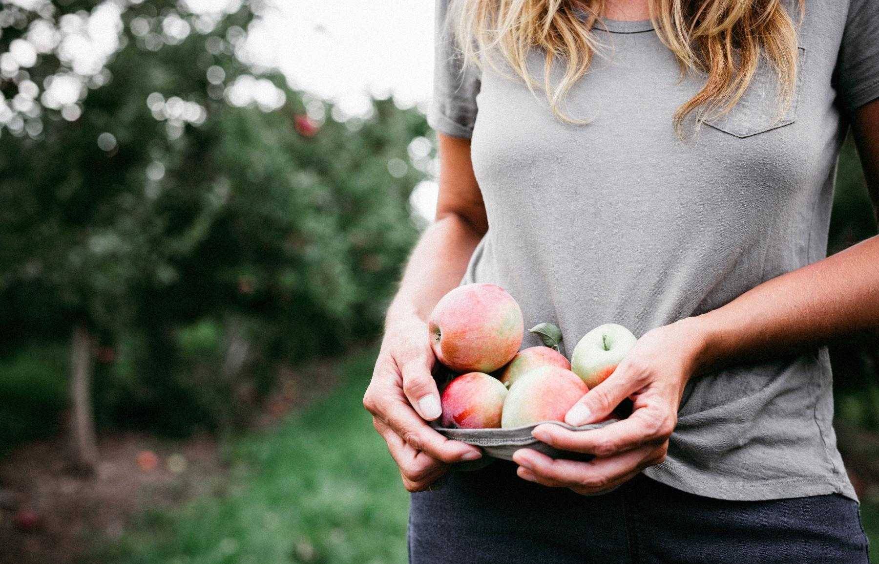 woman holding several apples in the bottom of her grey shirt