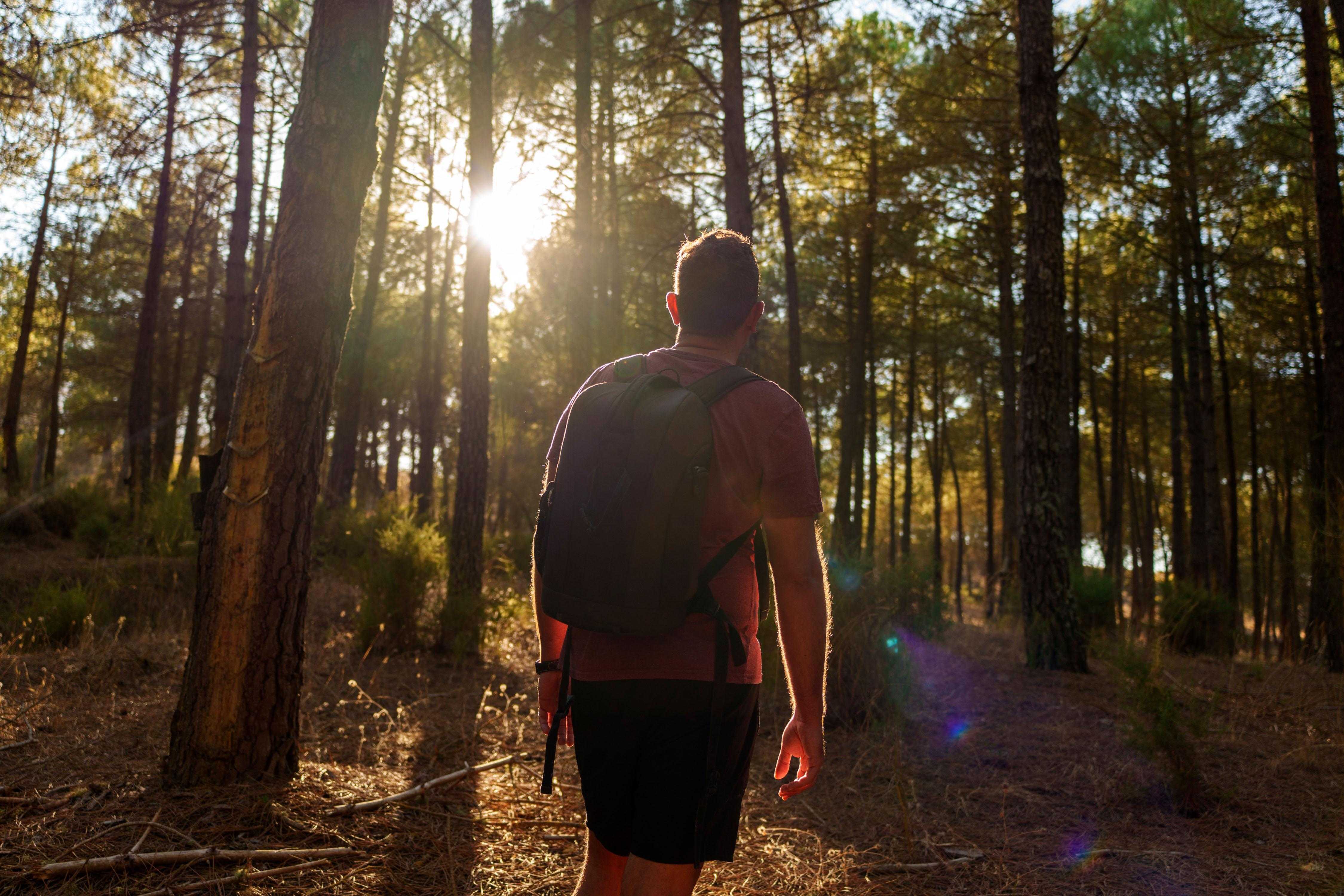 a man hiking in the woods