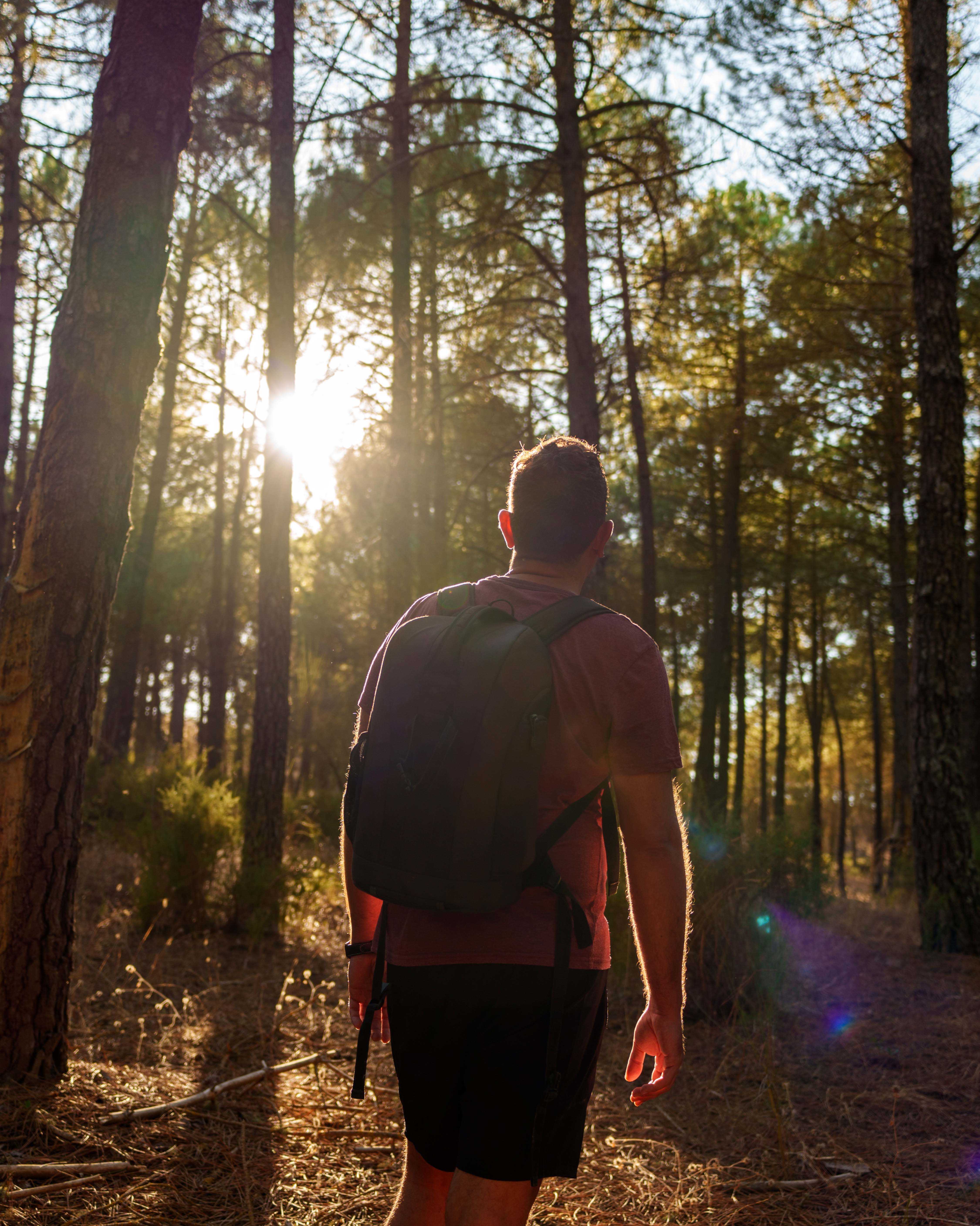 a man hiking in the woods