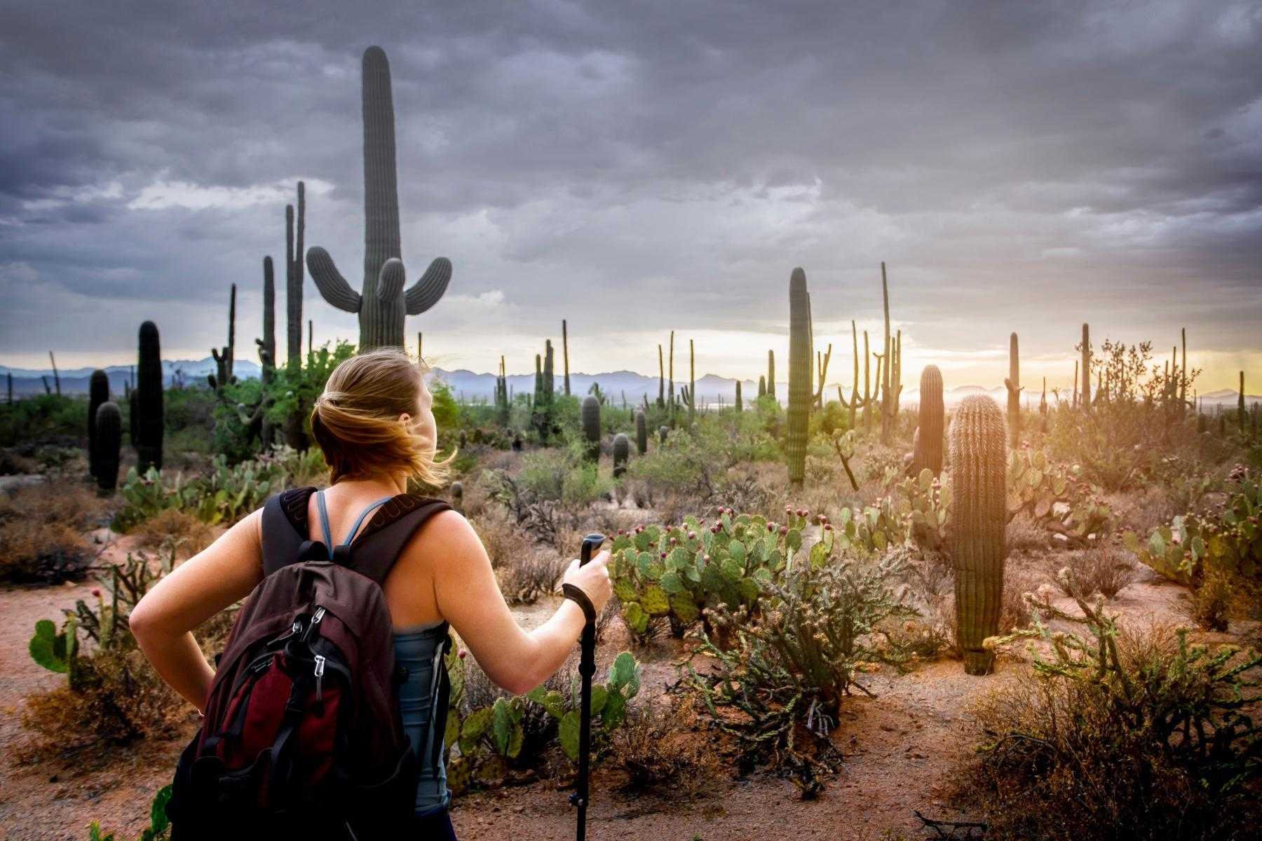 view from behind as a woman hikes through the Sonoran Desert with hiking poles and a backpack