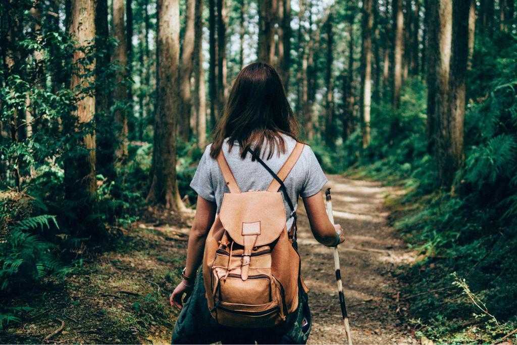 A woman hiking in the forest