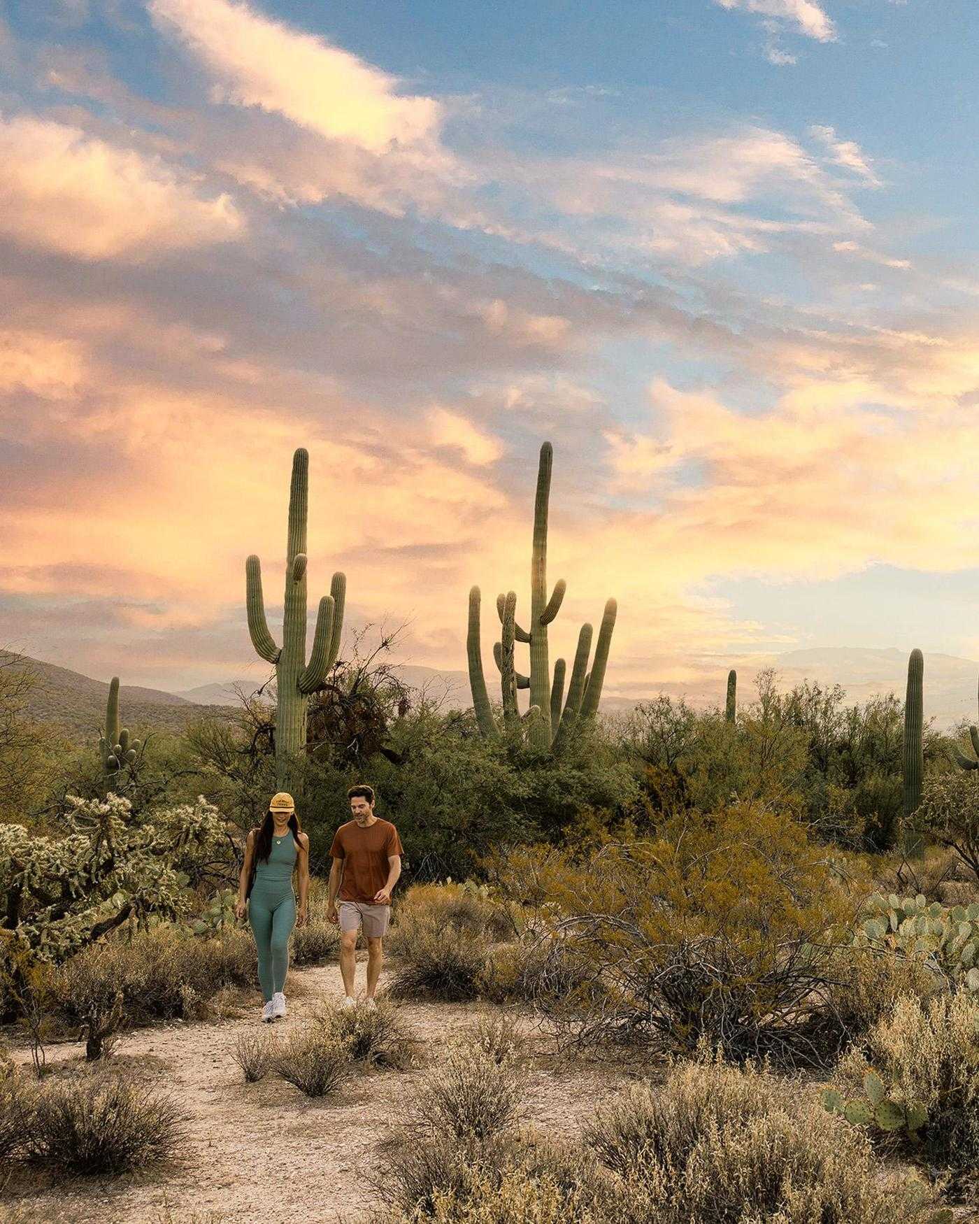 A couple hiking in the desert