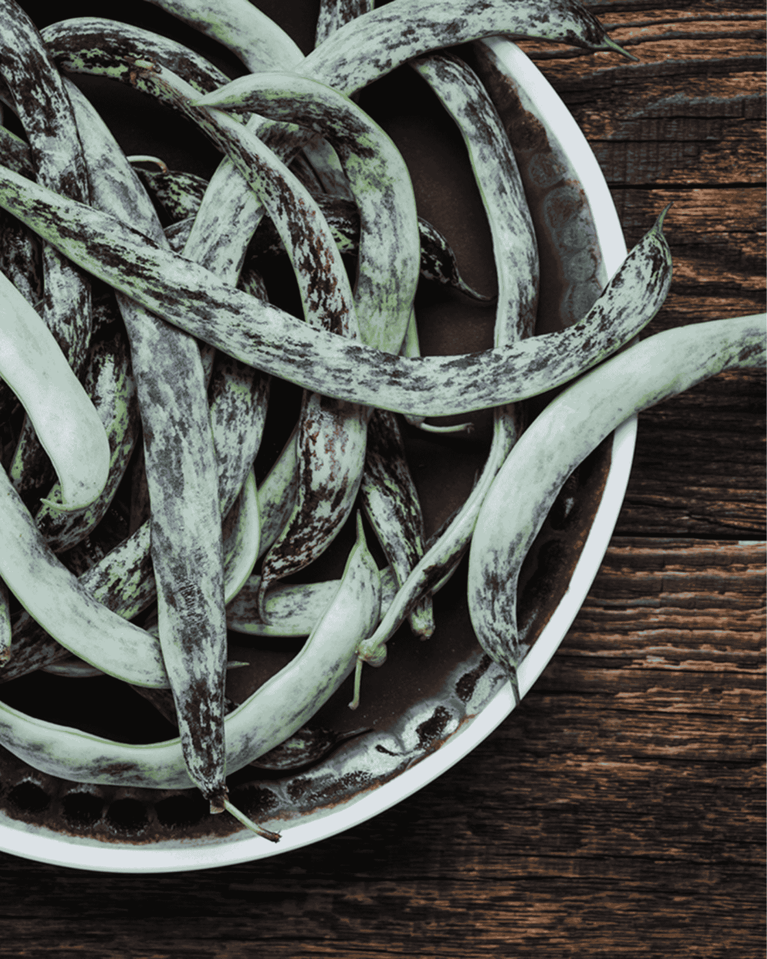 Rattlesnake Beans 