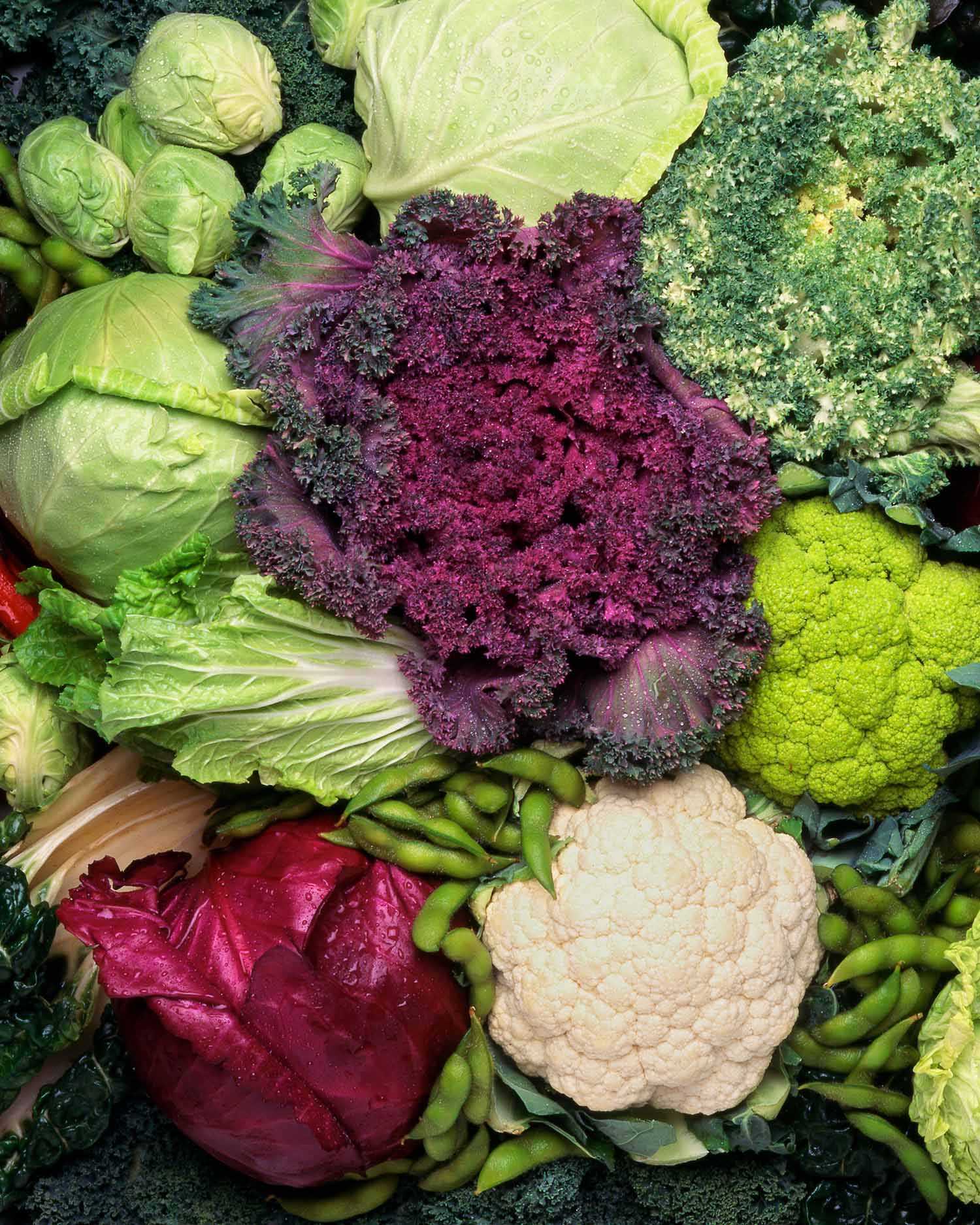a display of different cabbage types