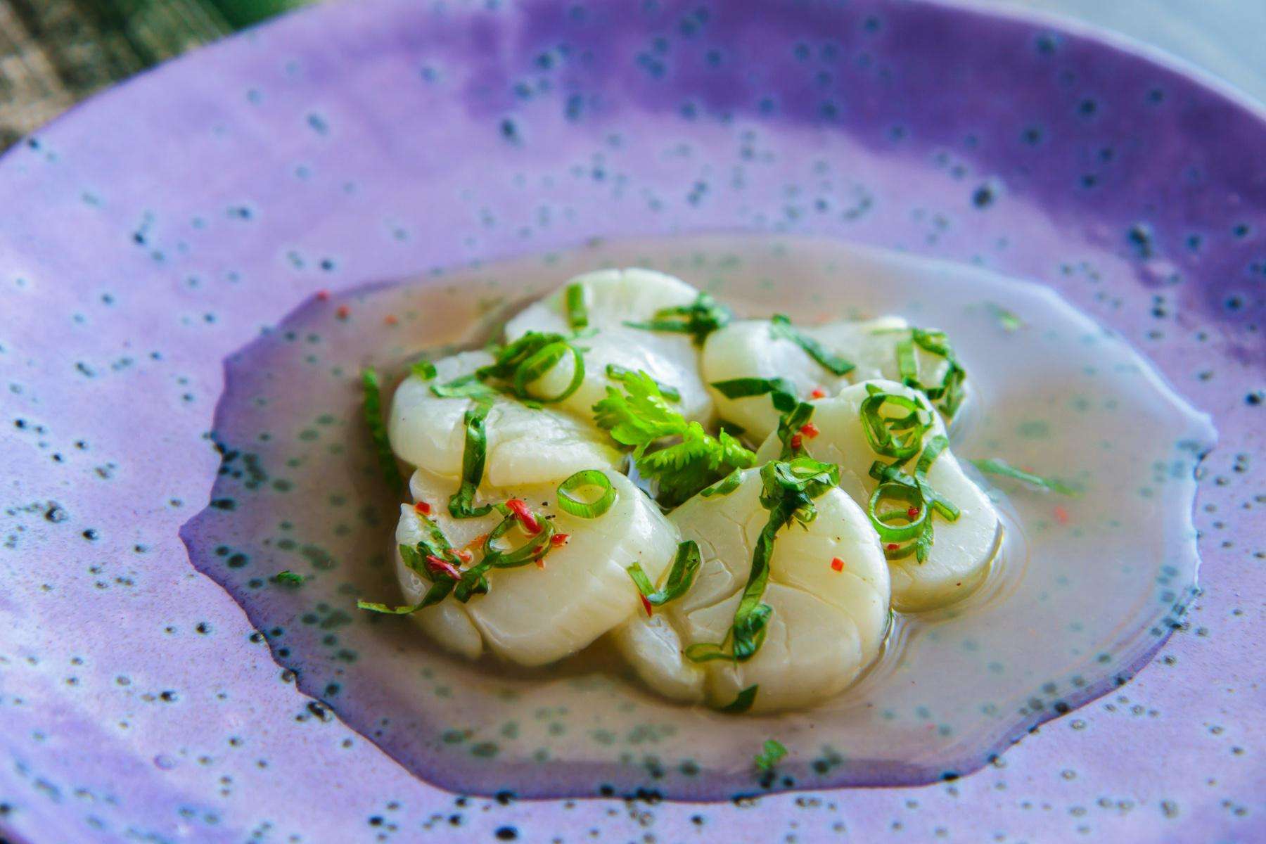 Close-up of plate of scallop ceviche.