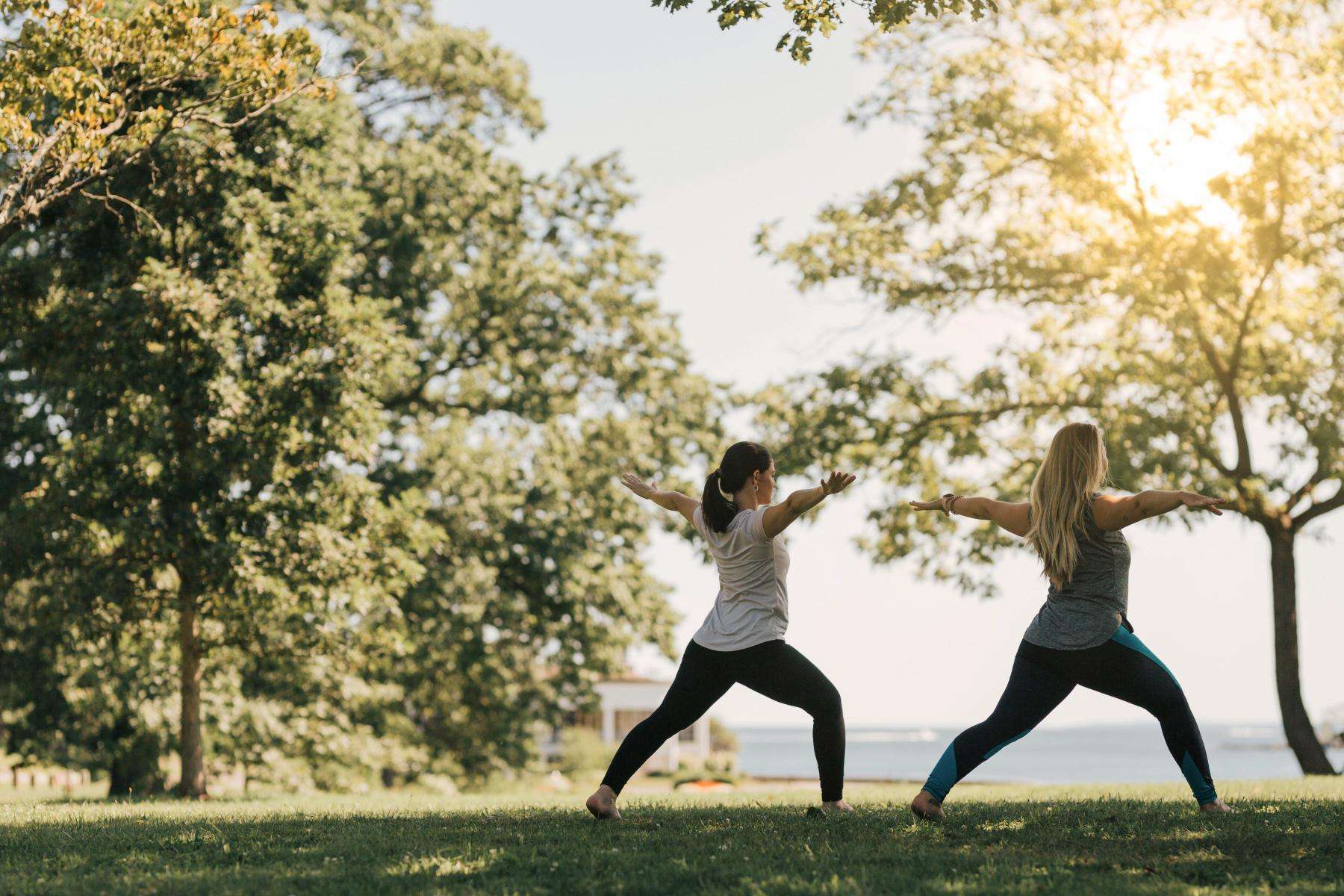 Two women doing yoga outside in the grass under a tree.