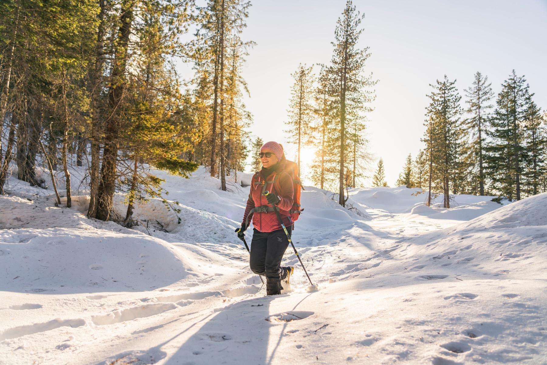 Woman cross-country skiing through snow with sun shining through pine trees behind her.