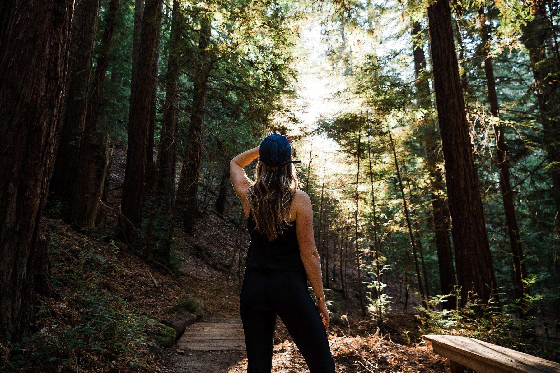 Woman looking up at sun shining through trees.