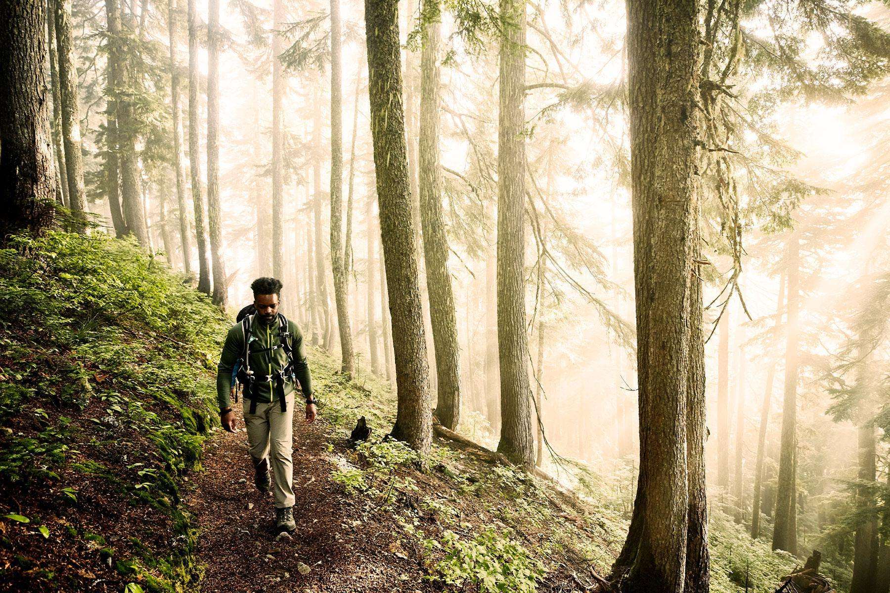 Man hiking on trail in woods with light shining through trees.