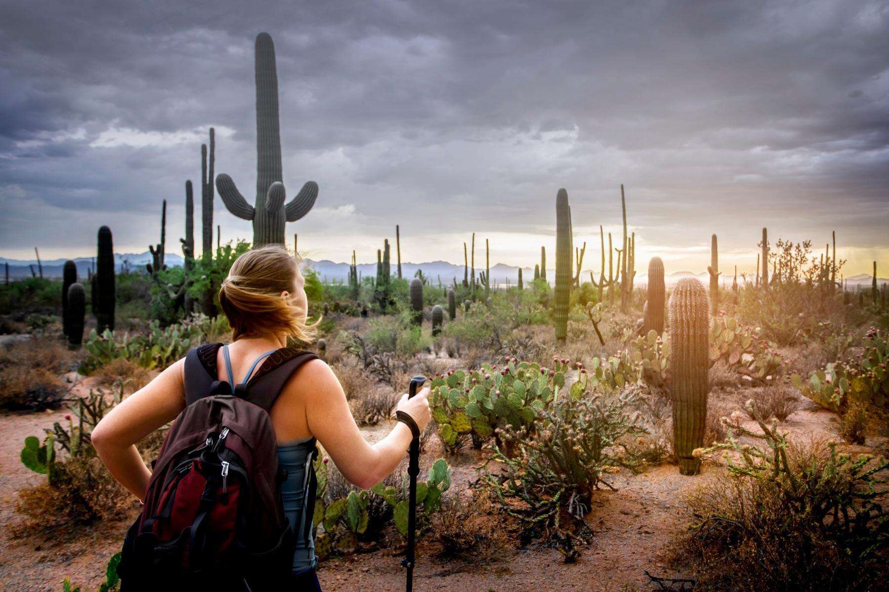 view from behind as a woman hikes through the Sonoran Desert with hiking poles and a backpack