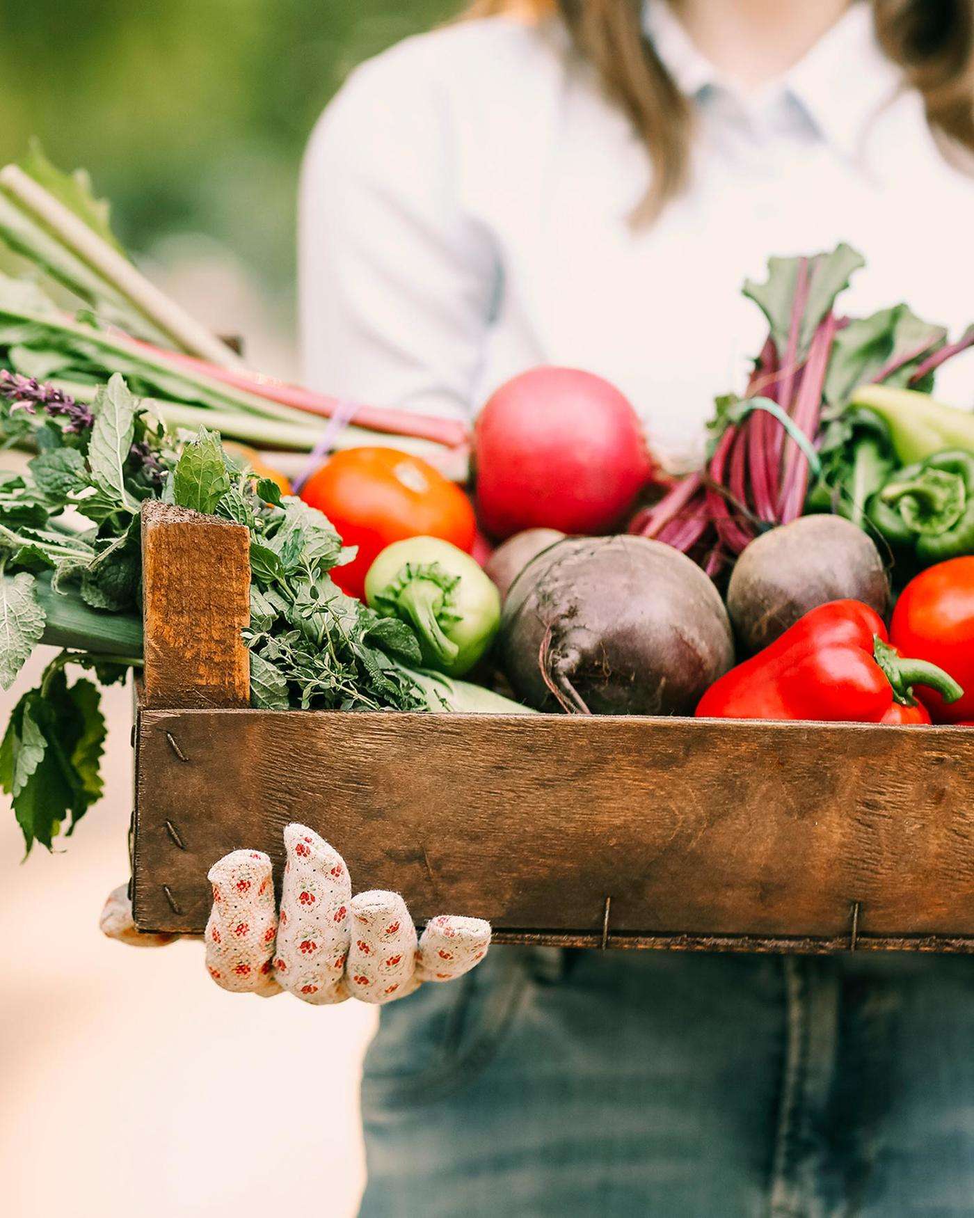 A woman carrying a box from the garden