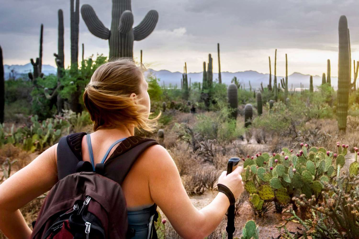 woman hiking in Sonoran desert 