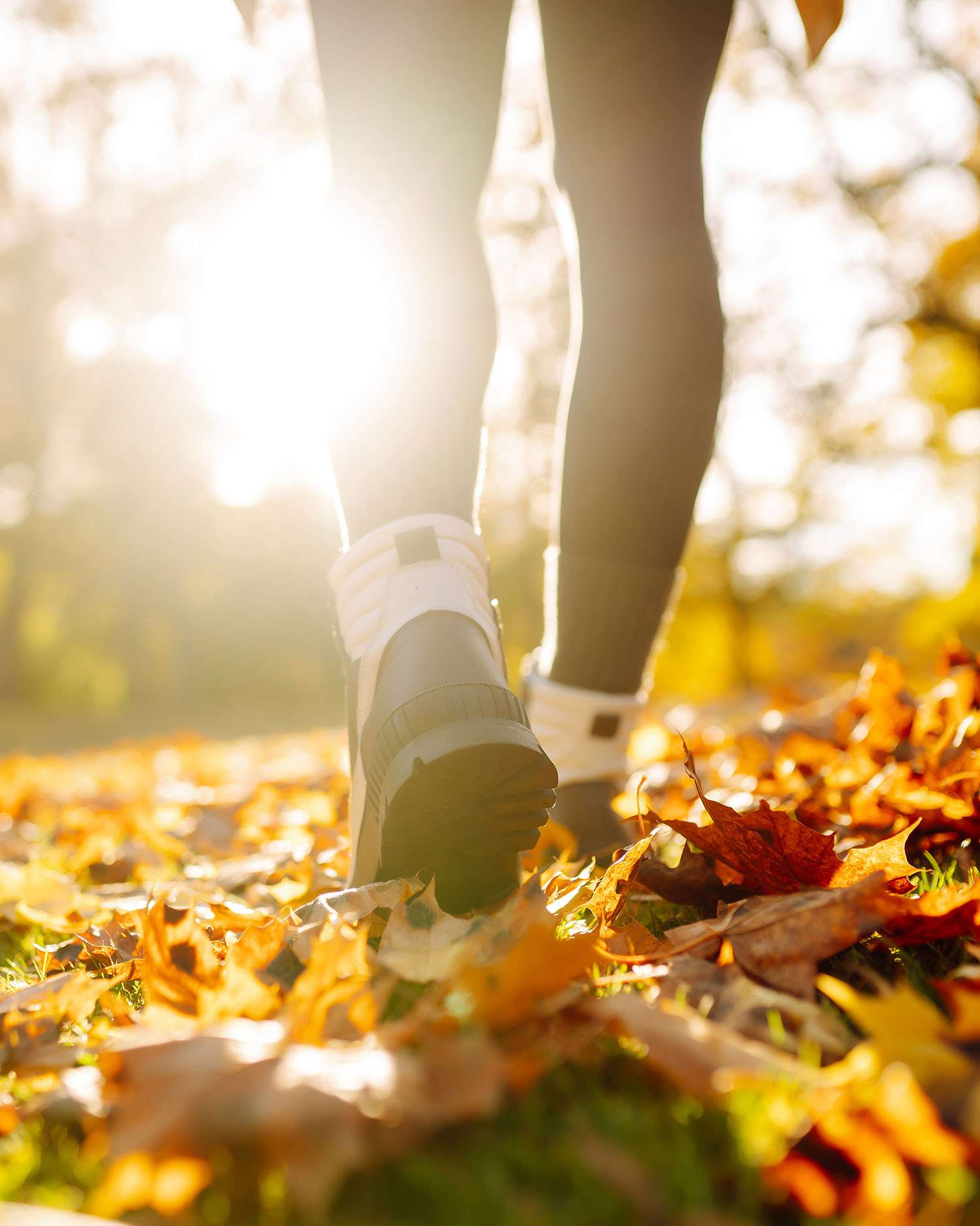 Women walking in the forrest