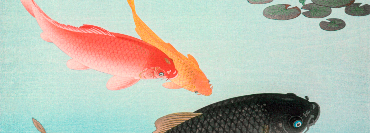 inset-image-fish.png
