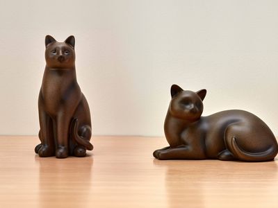 beautiful colored or brass urns specifically for a cat