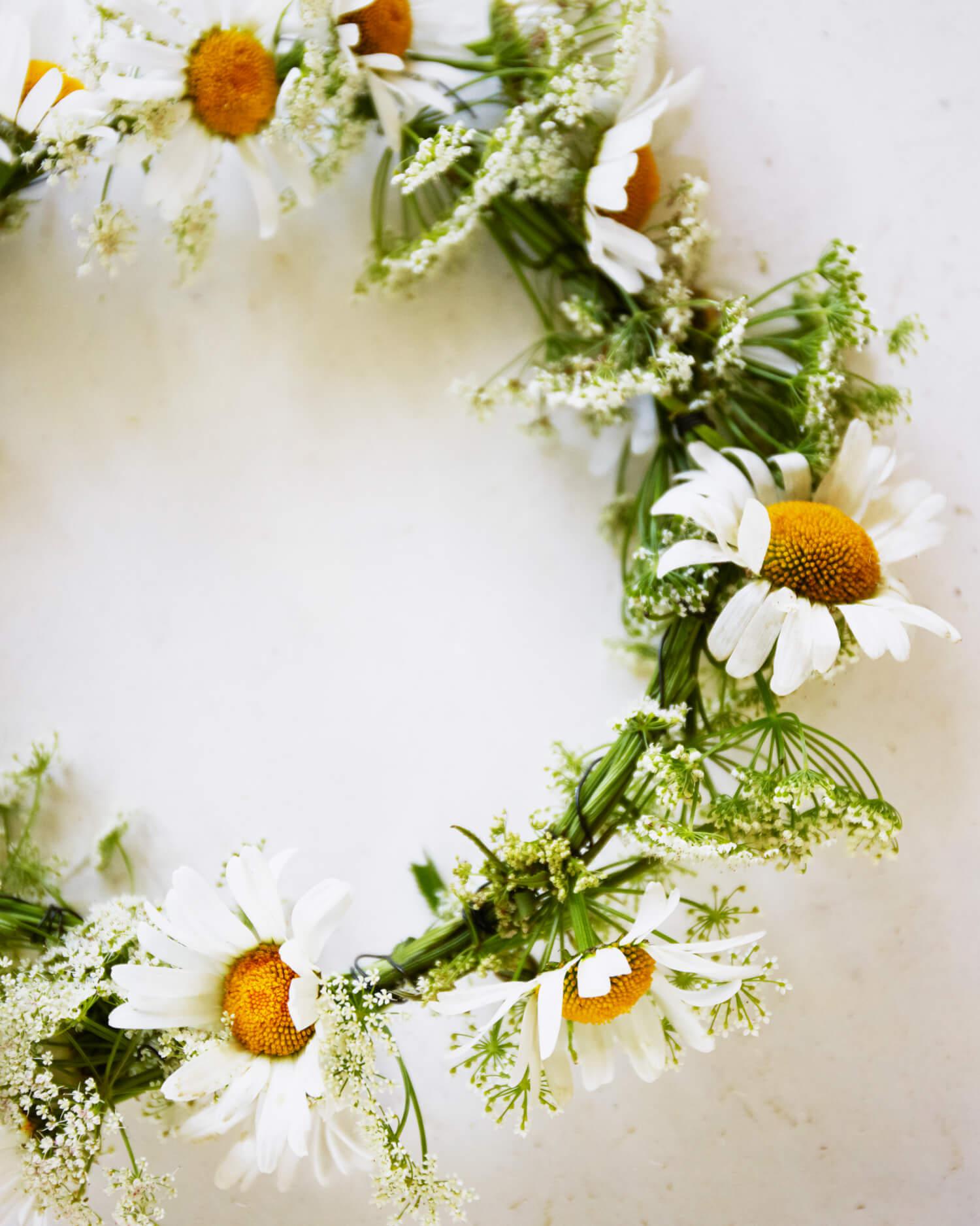 a crown of daisies