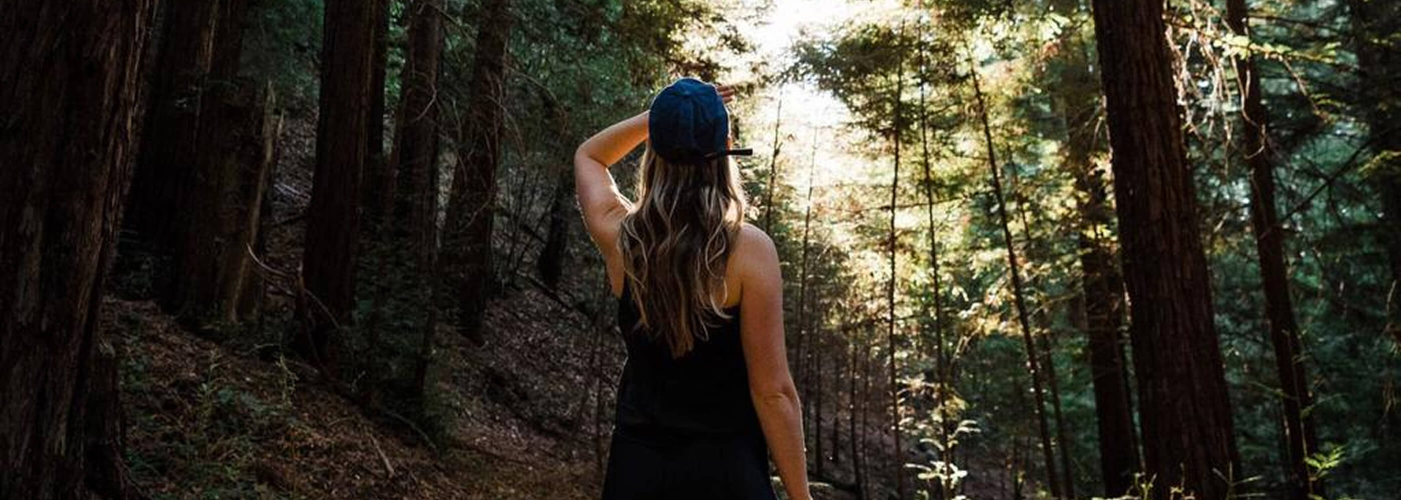 A woman standing in the Redwood Forest looking at the trees