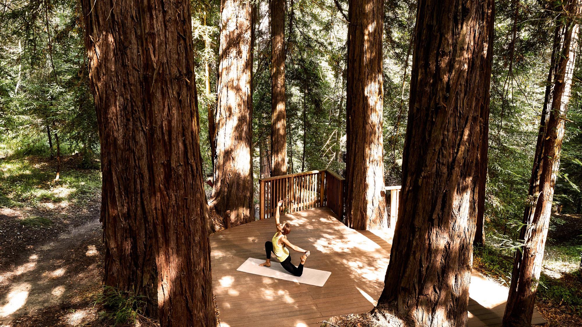 Woman doing yoga pose in the redwoods