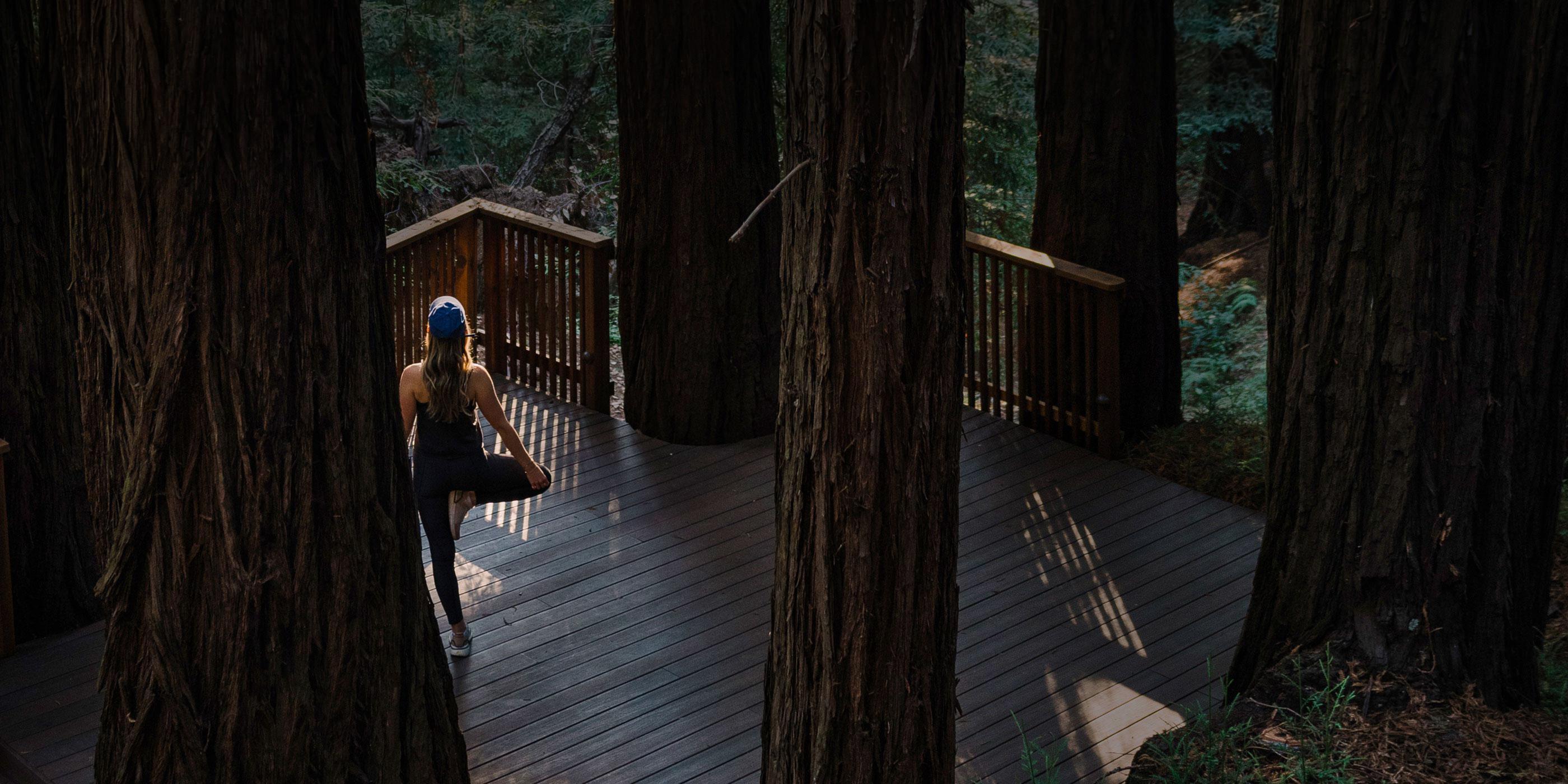 yoga on deck outside surrounded by redwood trees