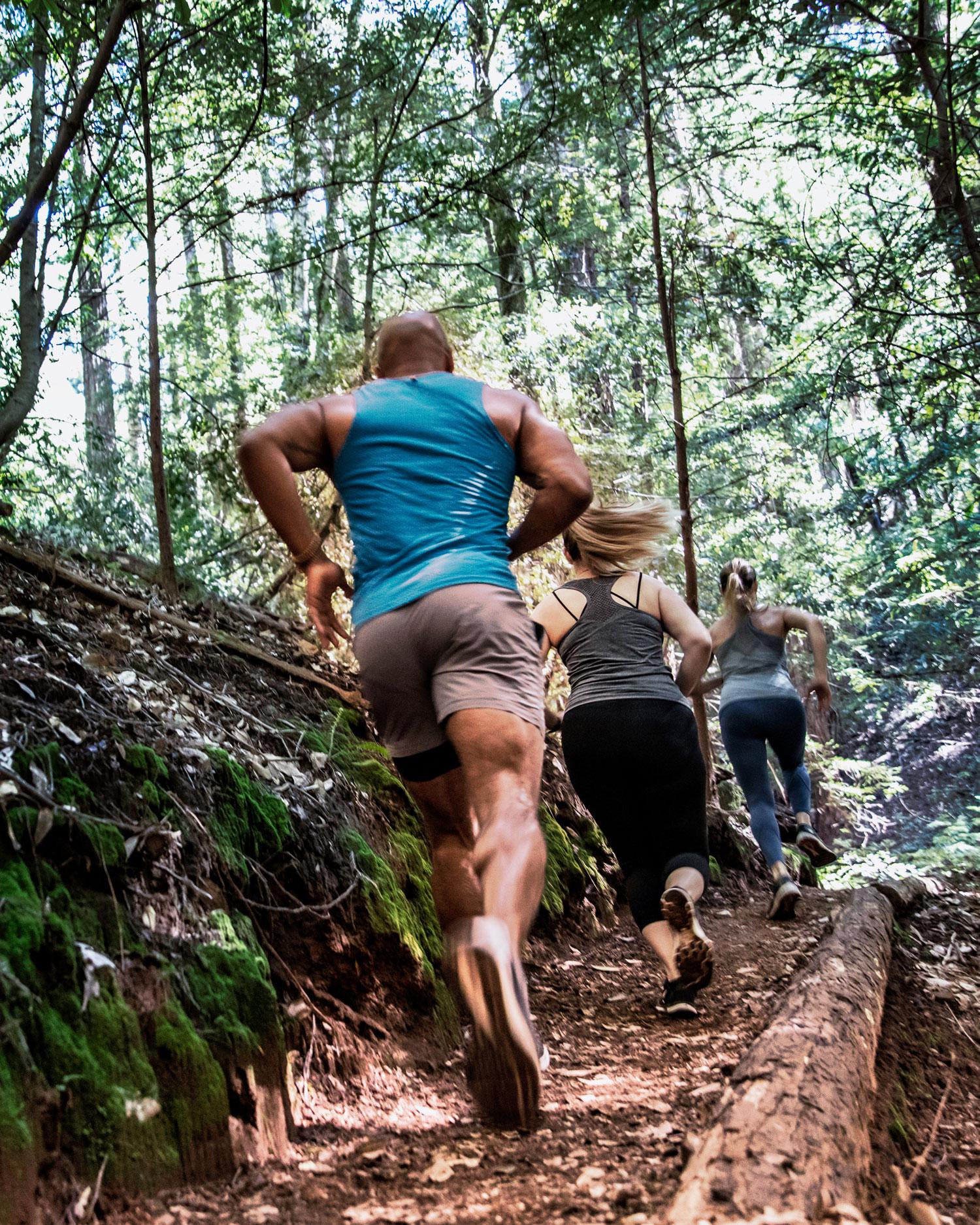 Person running in the forest
