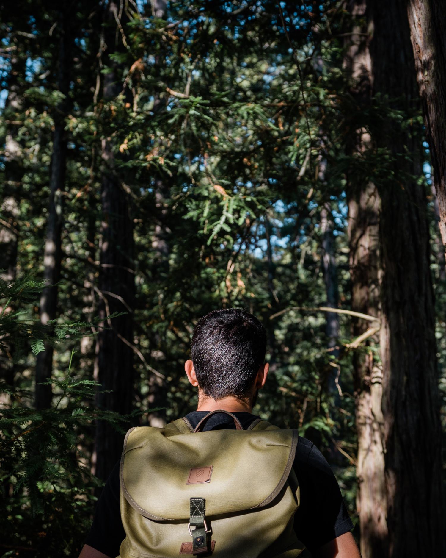 man backpacking in the redwoods