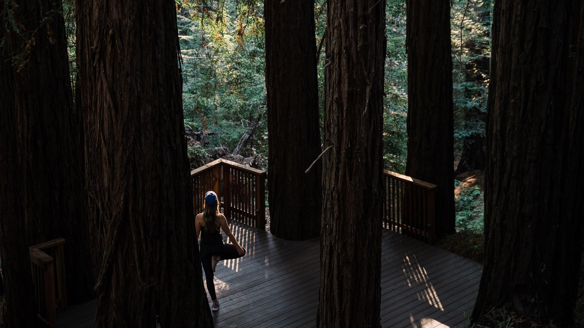 yoga on deck outside surrounded by redwoods