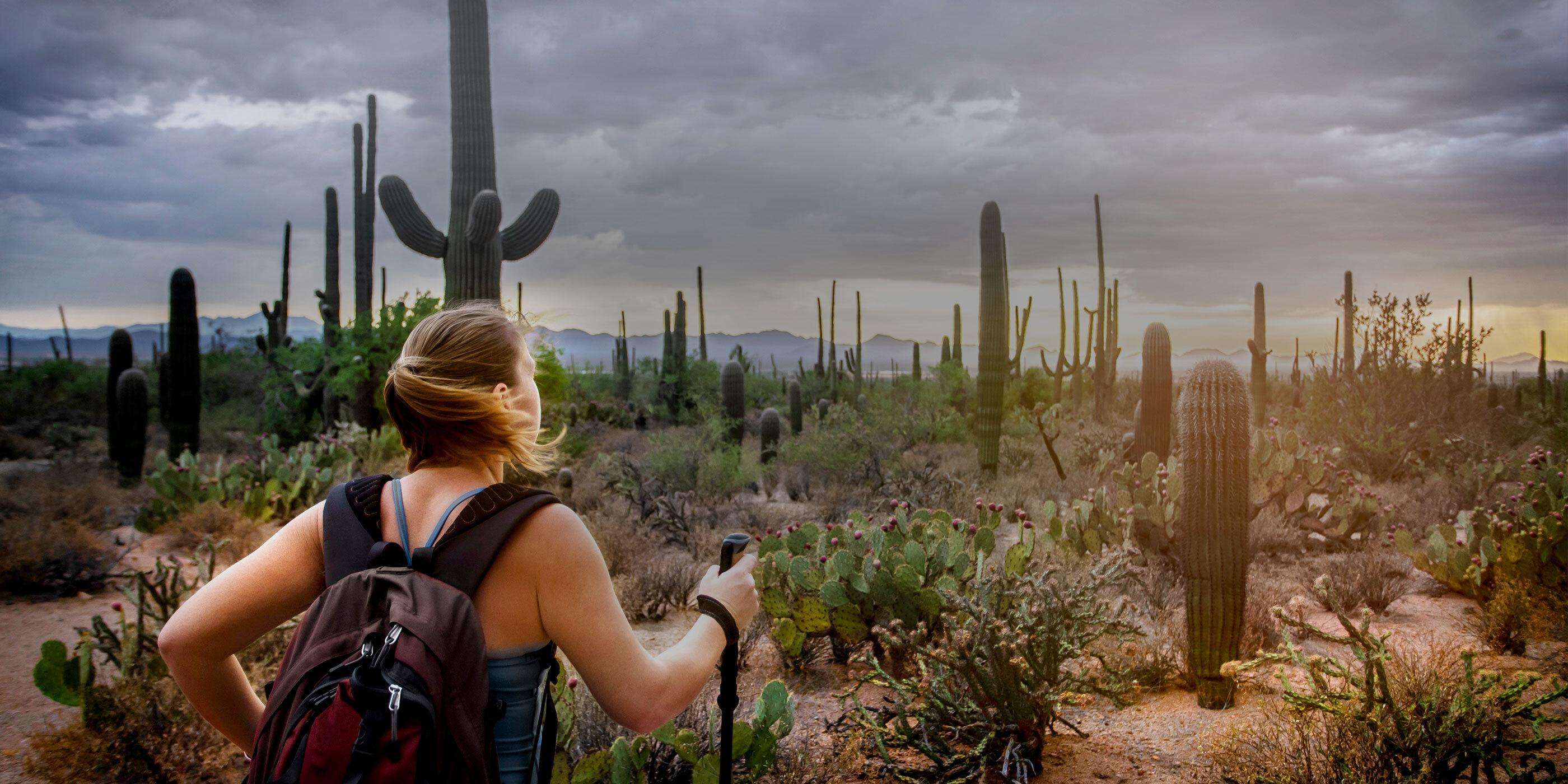 woman hiking in Sonoran desert 