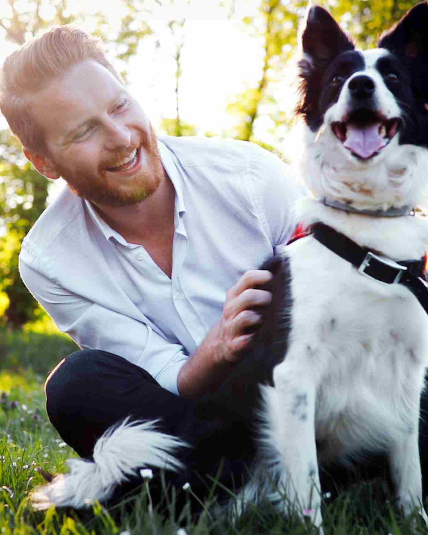 A Man with a border collie in the sunshine