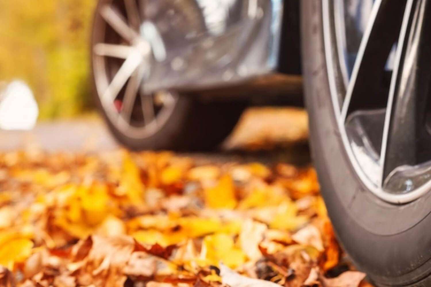 Transportation Inclusion