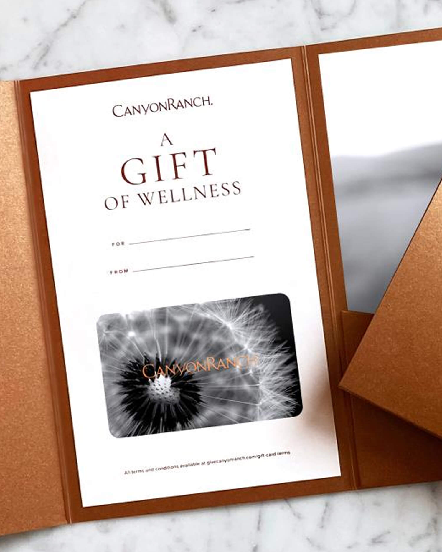 Canyon Ranch Gift Card